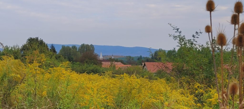 Welkom in Sály.