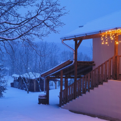Winter