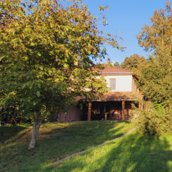 Herfstkleuren rondom het huis.